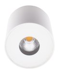 MAXLIGHT C0152 PLAZMA PLAFON BIAŁY IP54